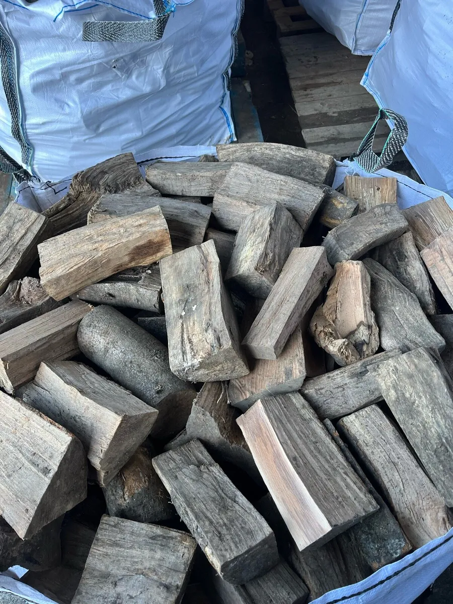 Firewood - Image 3