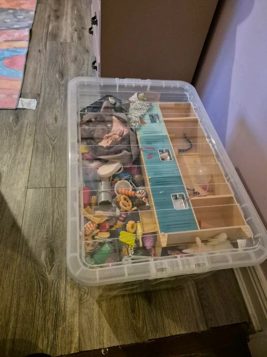 Our generation bundle - Image 2