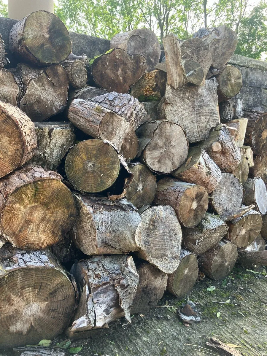 Seasoned Hardwood Firewood - Image 2