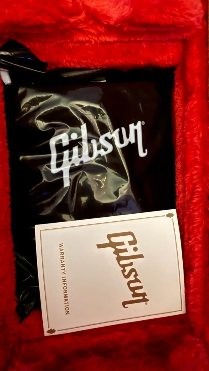 Gibson Les Paul Junior - Image 3