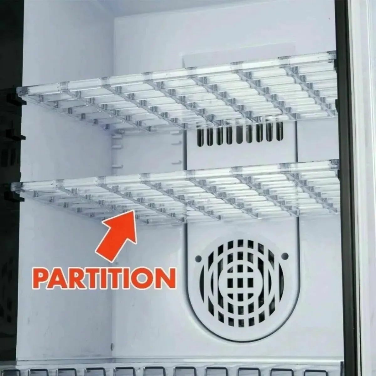 Reptile Egg Incubator with Digital Temp Control - Image 3