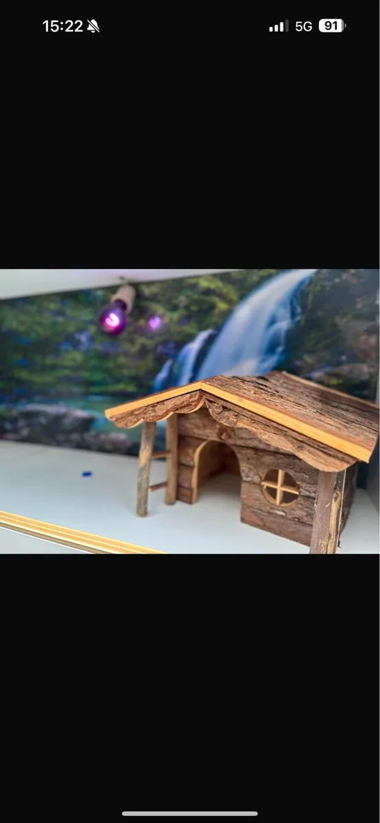 Hedgehog/Reptile Vivarium - Image 3