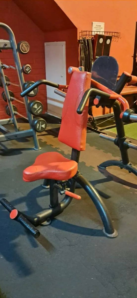 Shoulder Press & Iso-Lateral Row - Image 3