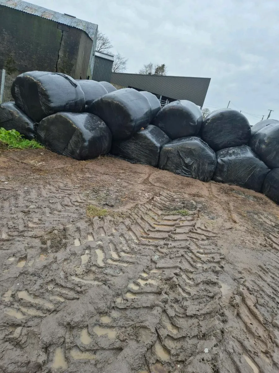 Silage bale's - Image 1