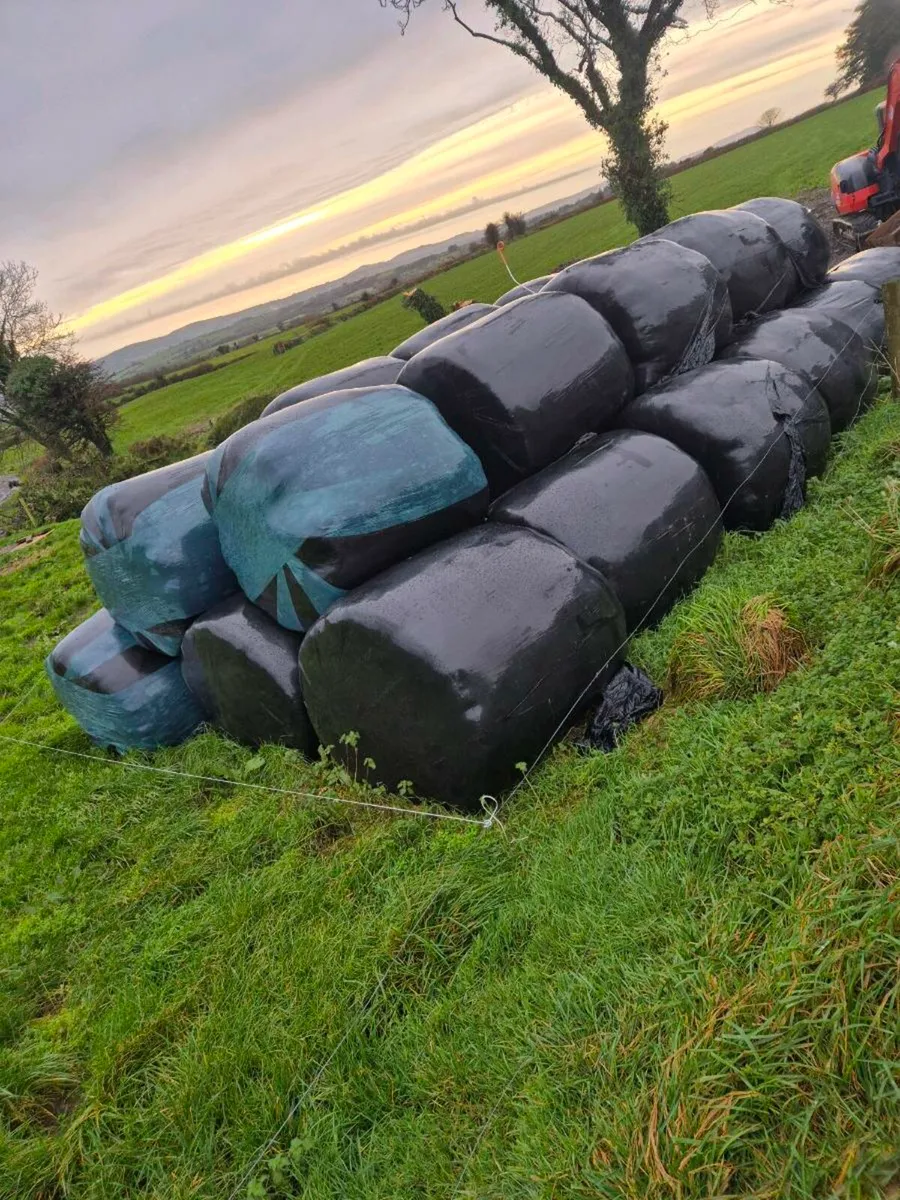 Silage bale's - Image 2