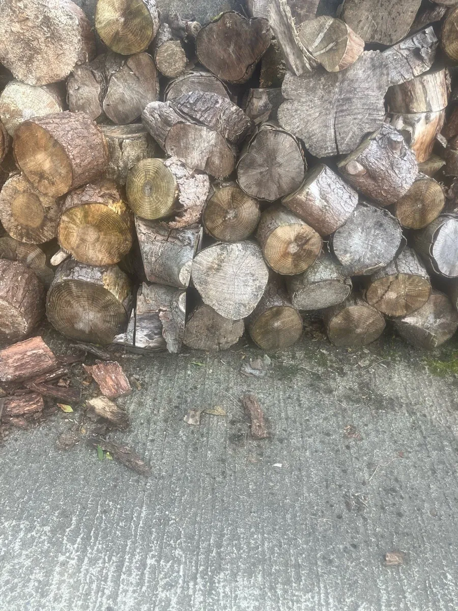 Firewood Hardwood - Image 3