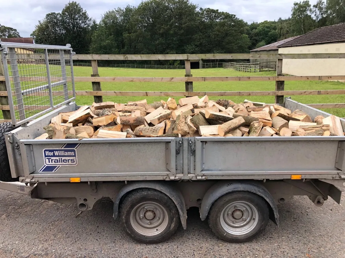 Firewood Hardwood - Image 4