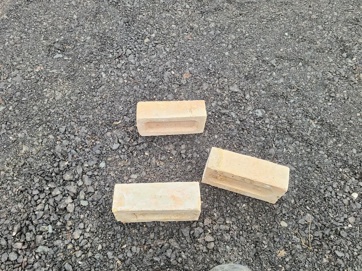 Bricks - Image 3