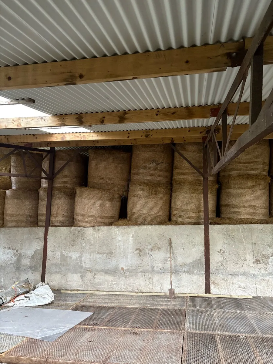 Hay and straw - Image 2