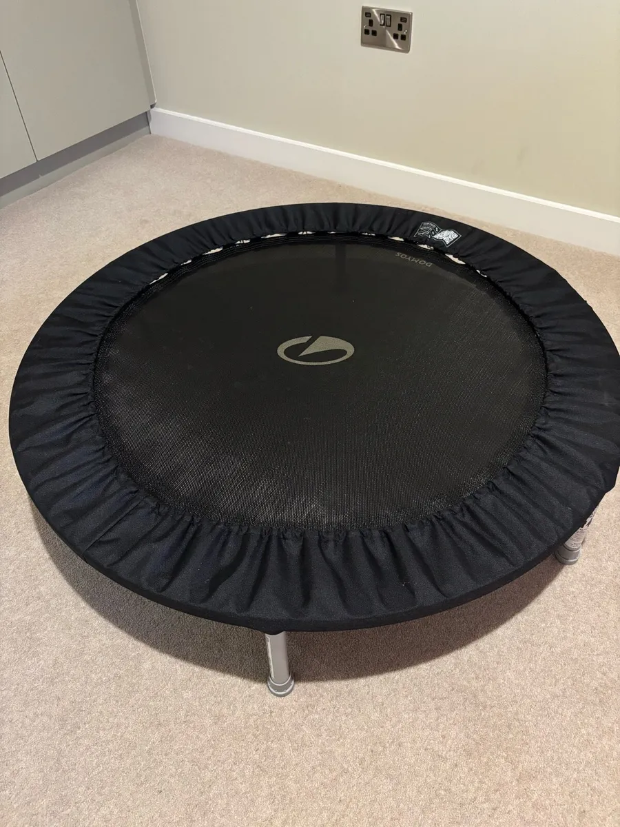 Trampoline - Image 1