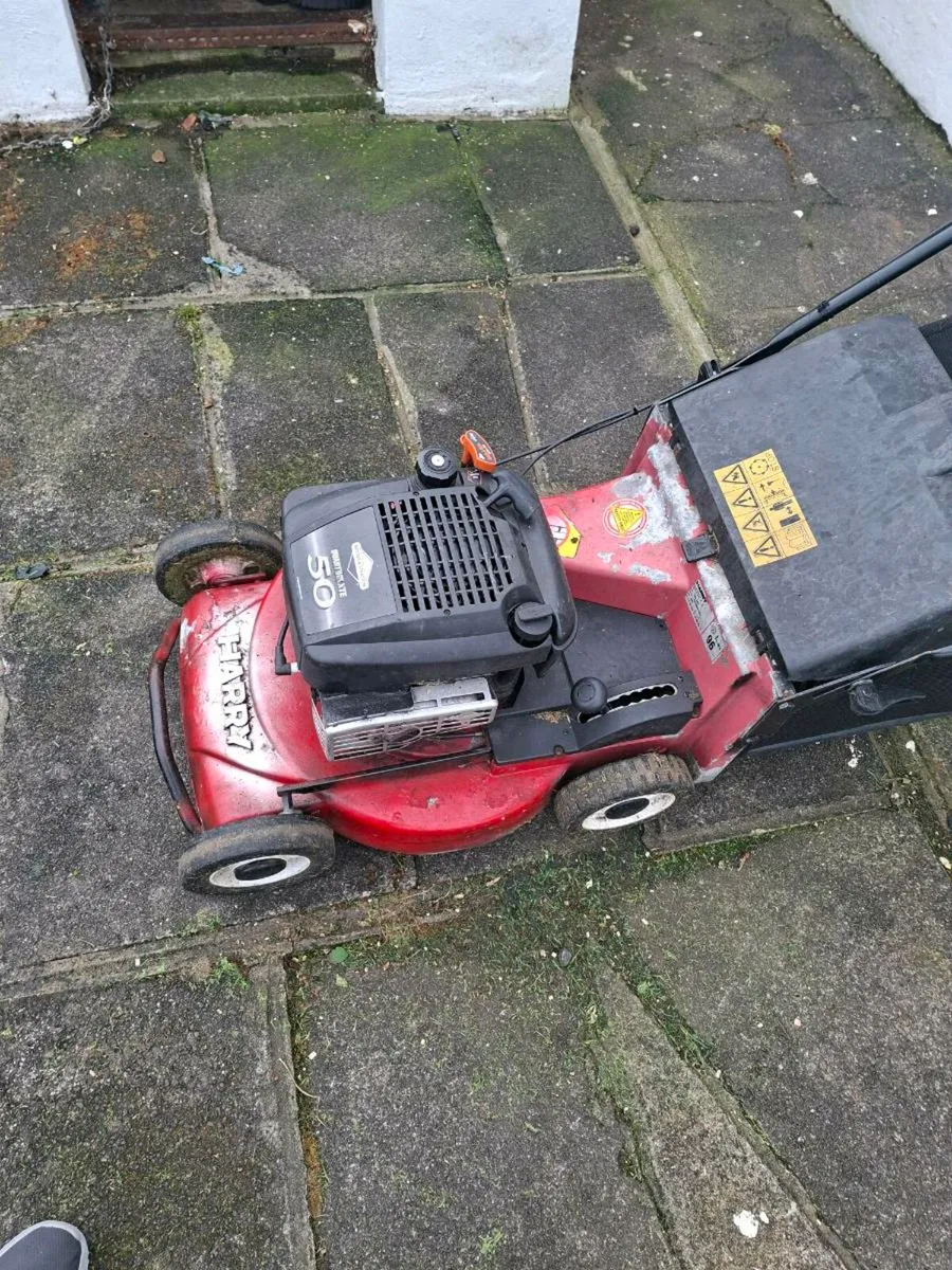 Harry   lawnmower    self-drive - Image 2