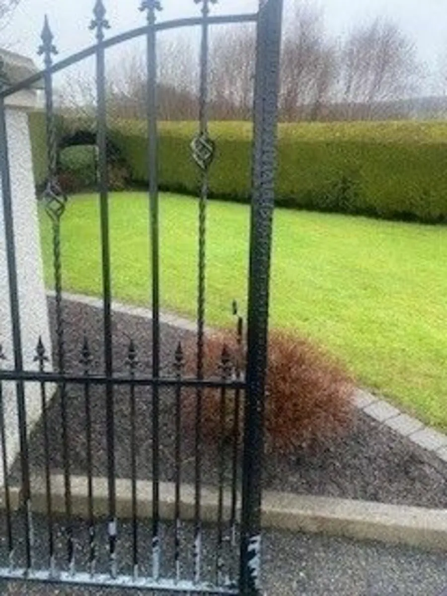 Wrought Iron Gates - Image 3