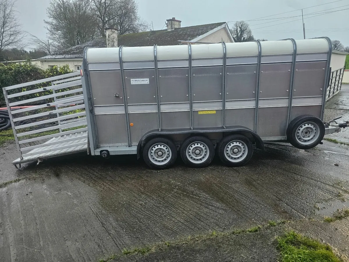 I for williams 14 ×cattle trailer - Image 1