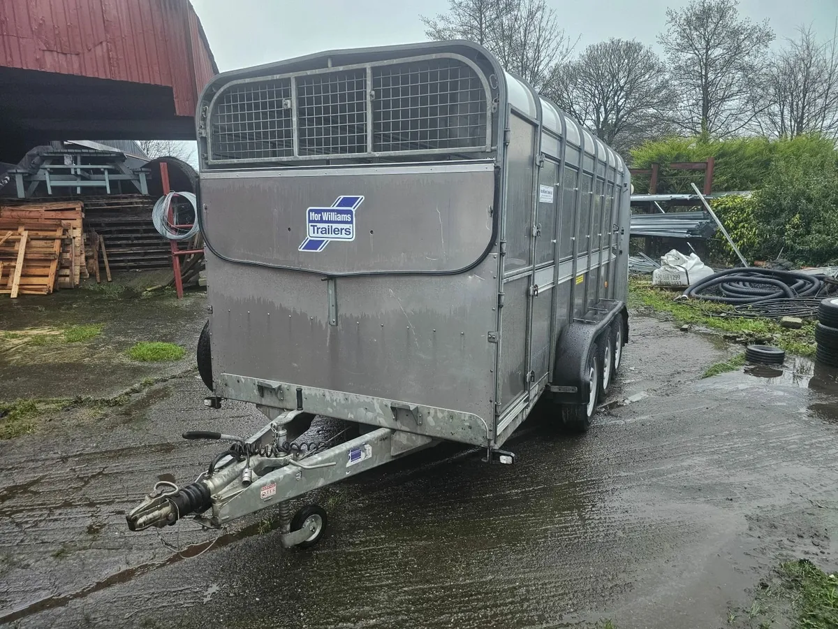 I for williams 14 ×cattle trailer - Image 2
