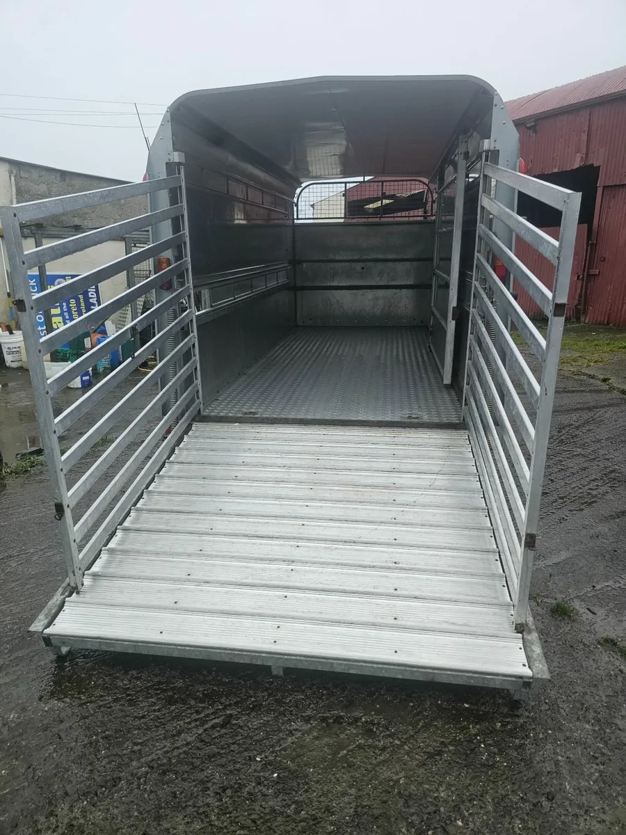 I for williams 14 ×cattle trailer - Image 3