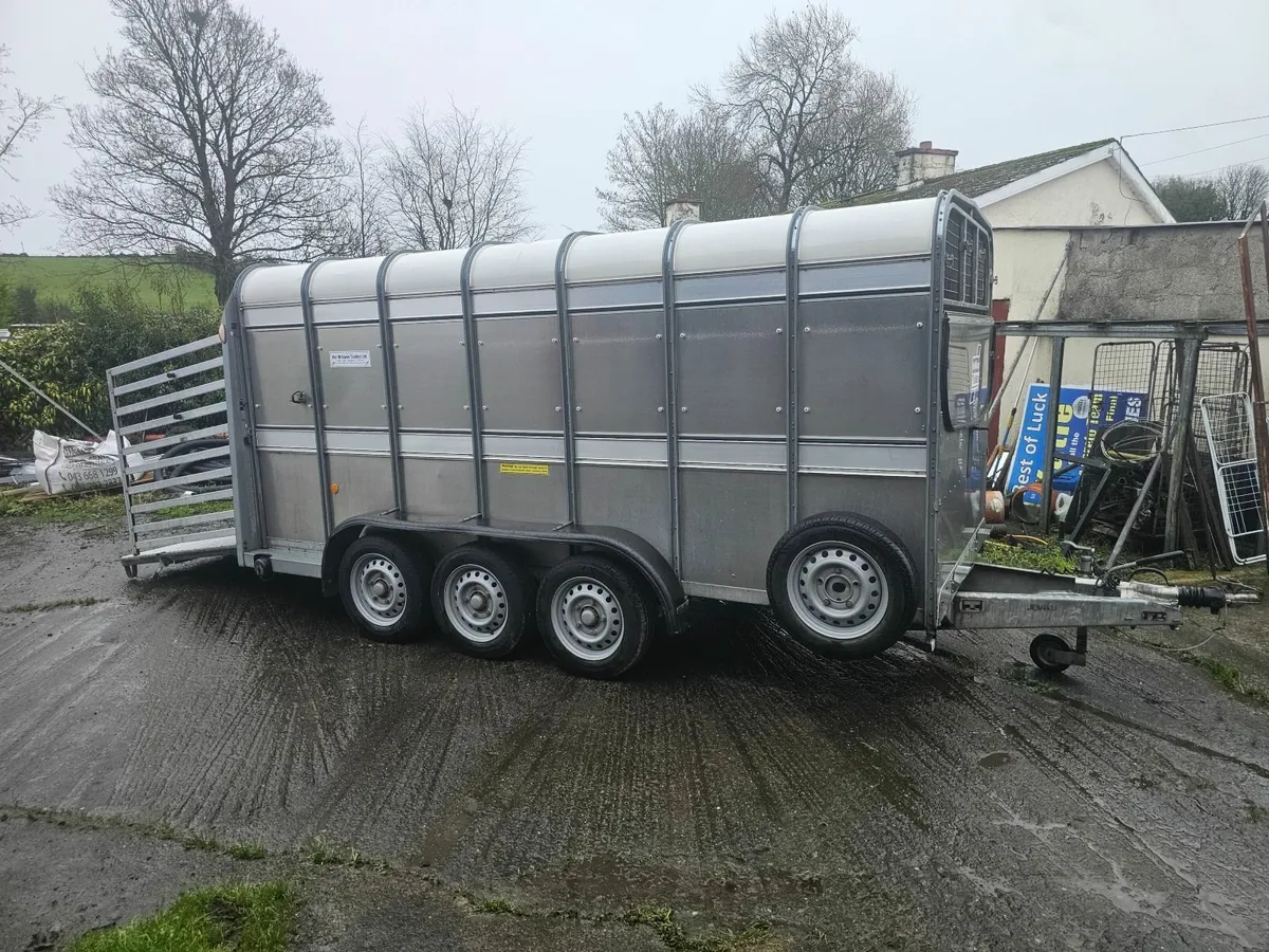 I for williams 14 ×cattle trailer - Image 4