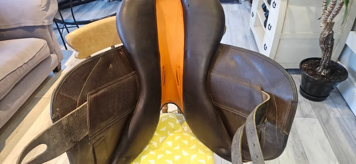 Saddle - Image 1