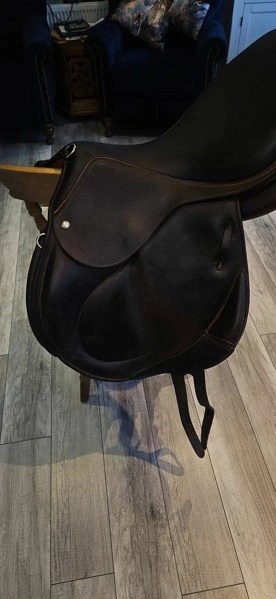Saddle - Image 2