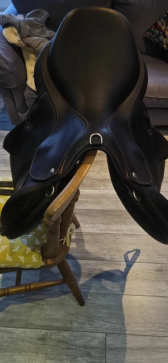 Saddle - Image 3