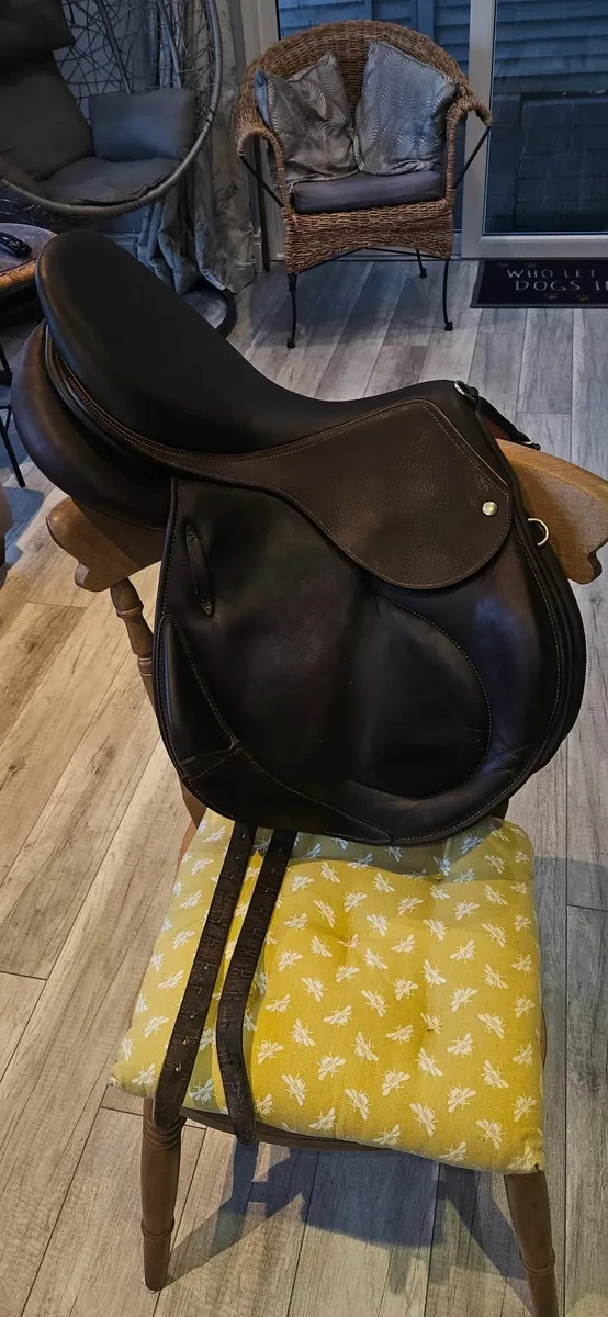 Saddle - Image 4