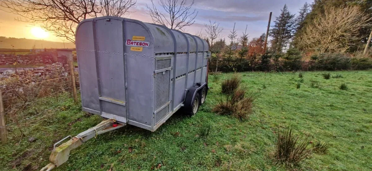 Cattle Trailer - Image 1