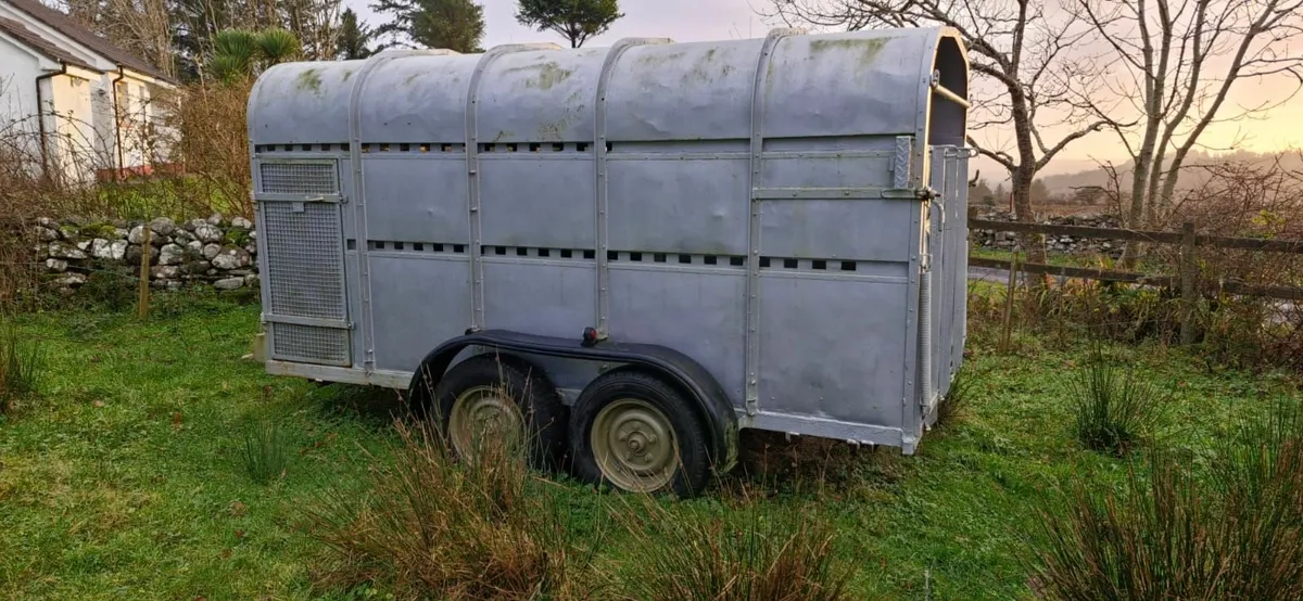 Cattle Trailer - Image 2