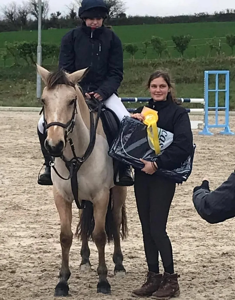 🌟 Stunning All-Rounder Connemara 🌟 - Image 3