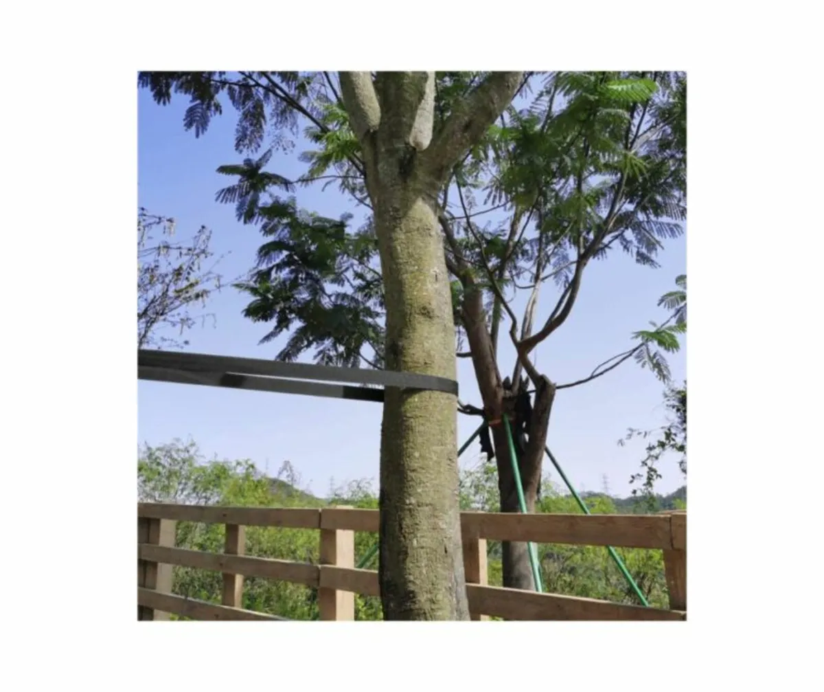 Stay Fast Tree Tie Strapping - Image 1