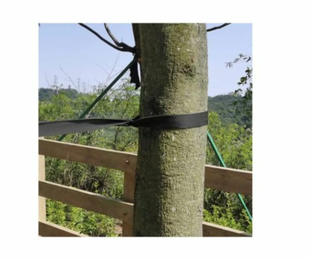 Stay Fast Tree Tie Strapping - Image 2