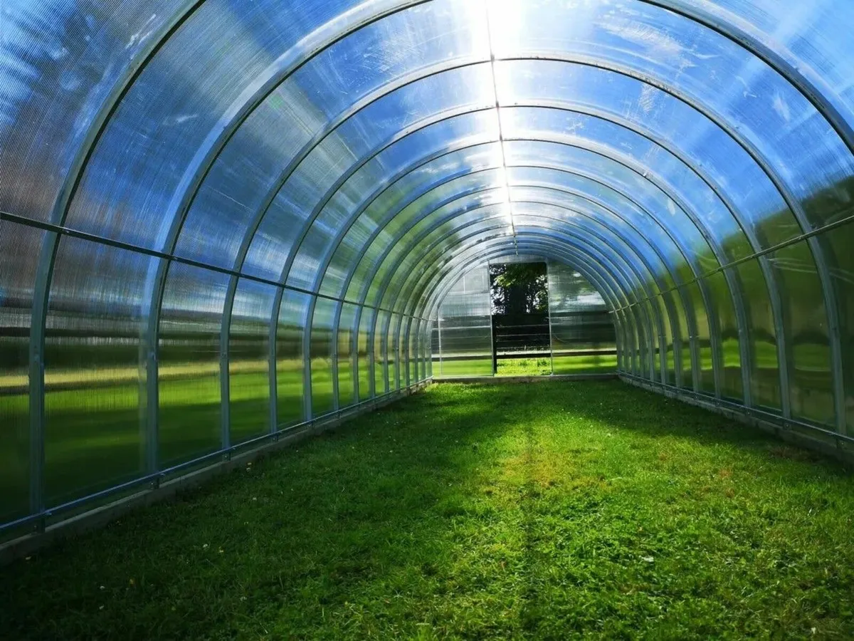 SALE - TITAN 3 Polycarbonate Greenhouse/Polytunnel - Image 3