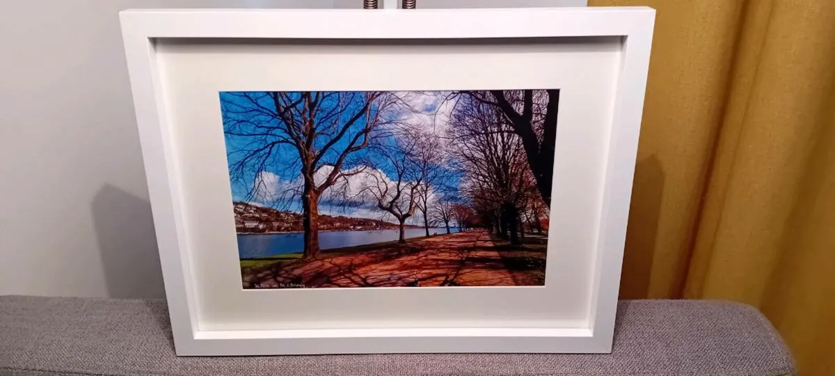 The Marina, Cork - Image 1