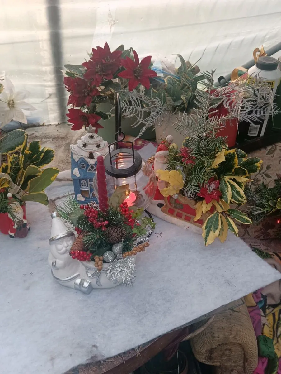 Beautiful fresh pots 5 each - Image 2