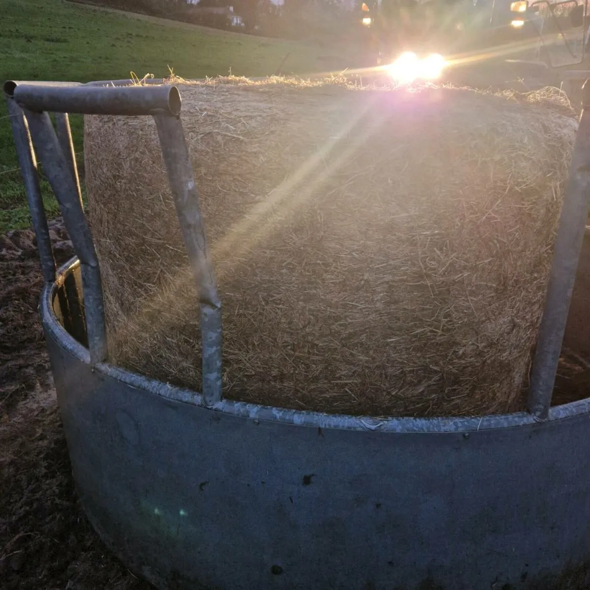 Silage bales - Image 2