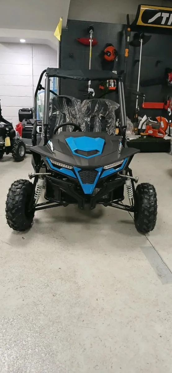 Quadzilla Stingray buggy - Image 1