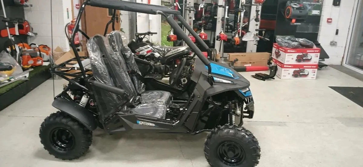 Quadzilla Stingray buggy - Image 2