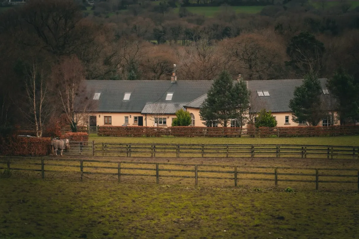 D.I.Y Livery, Close to Wicklow Town - Image 4