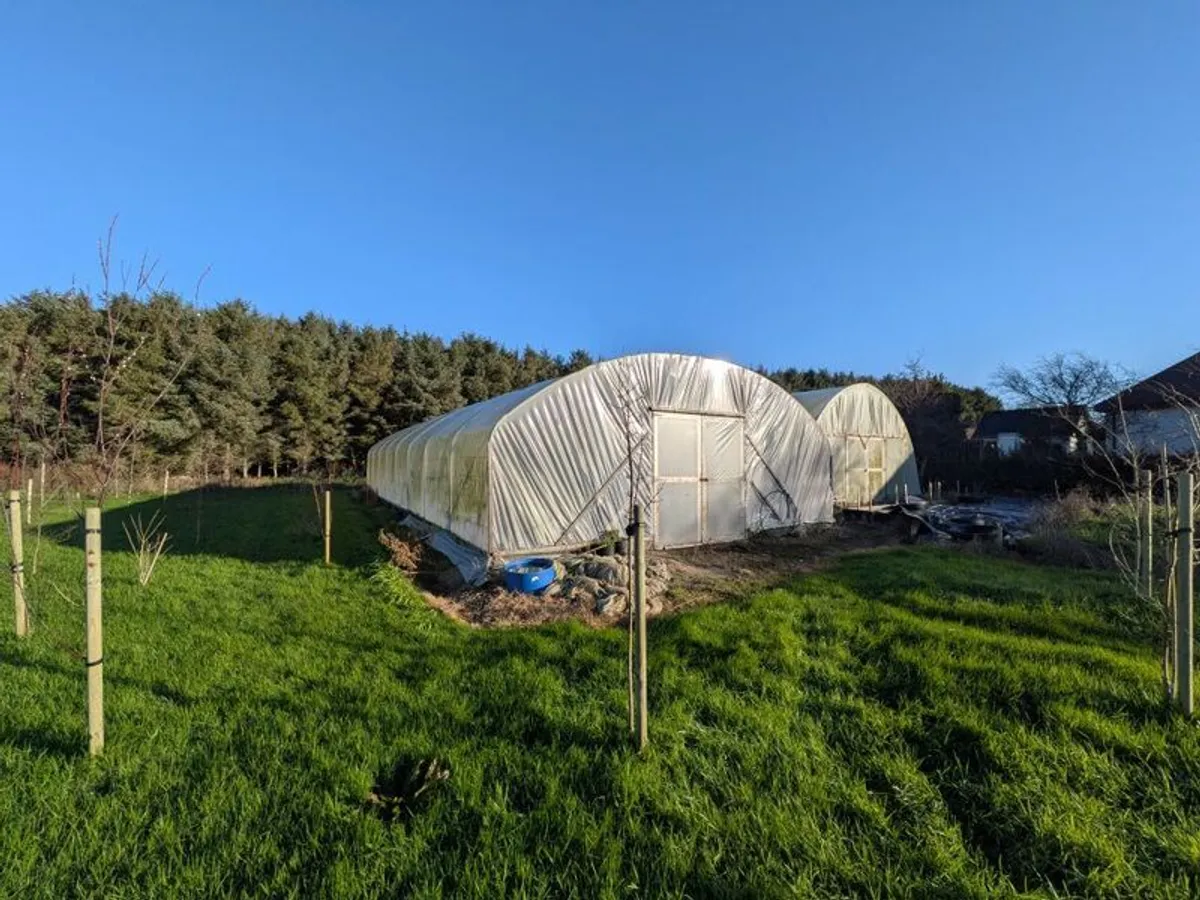 Large commercial Polytunnel 50x20ft - Image 1