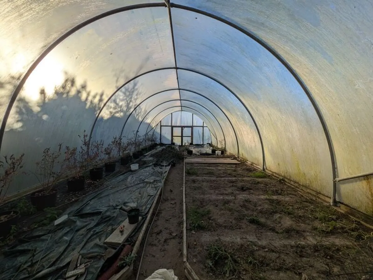 Large commercial Polytunnel 50x20ft - Image 2