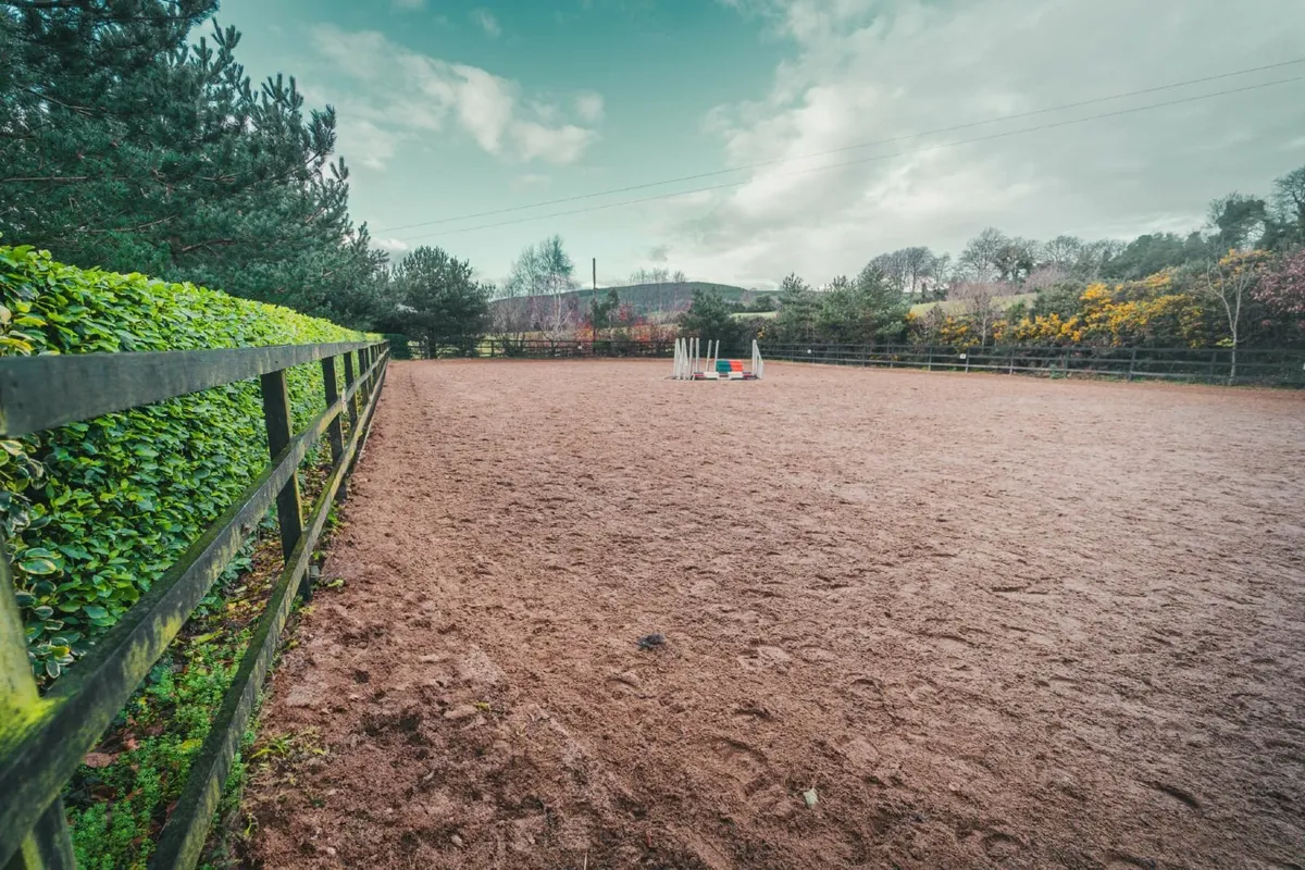 D.I.Y Livery, Close to Wicklow Town - Image 3