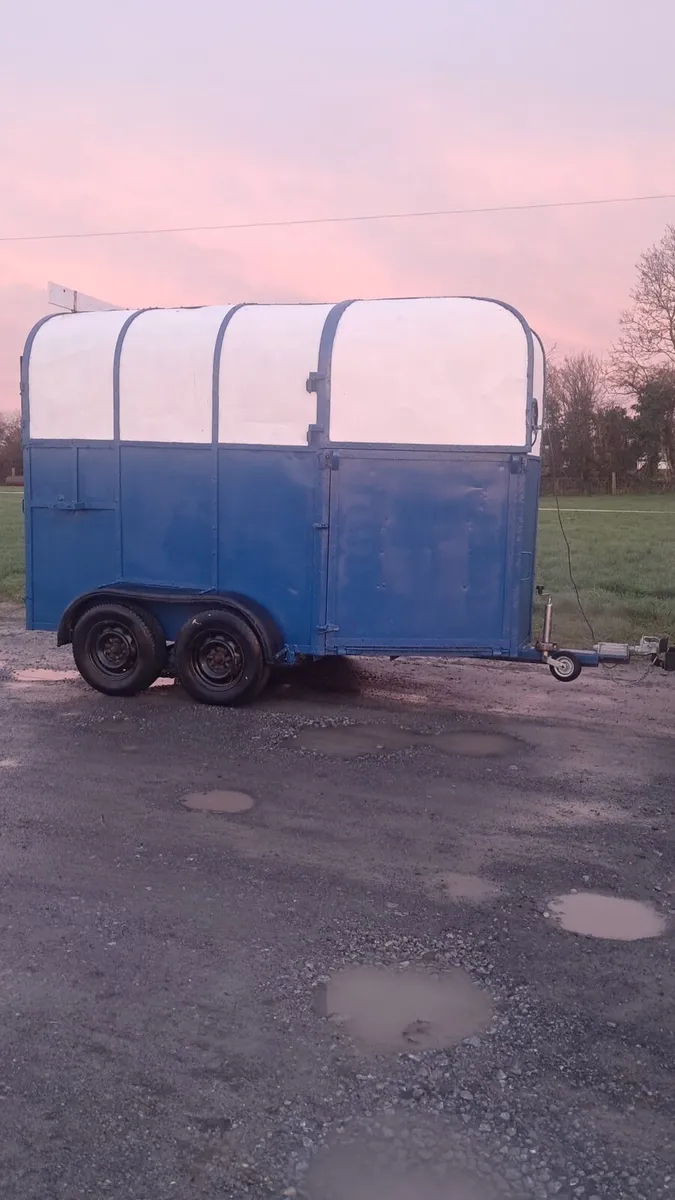 Horse box - Image 2