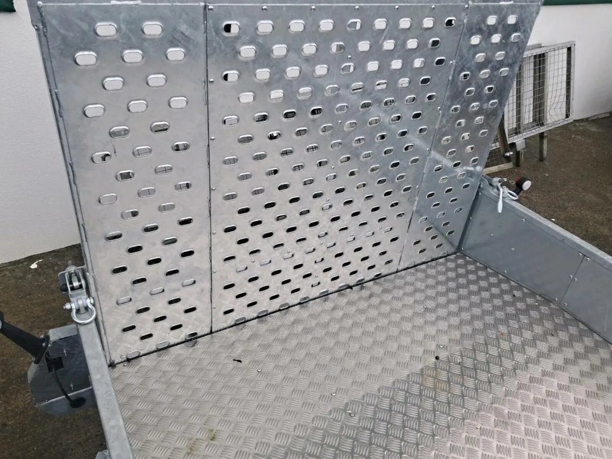 Nugent 10x6 plant trailer - Image 3