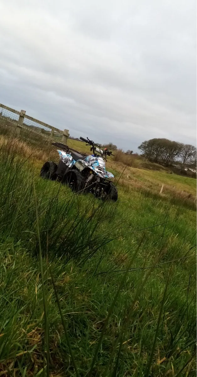110cc quad - Image 4