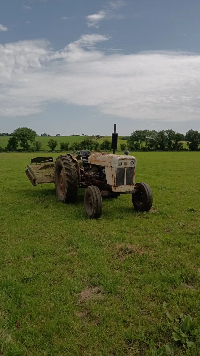 David brown 990 - Image 2