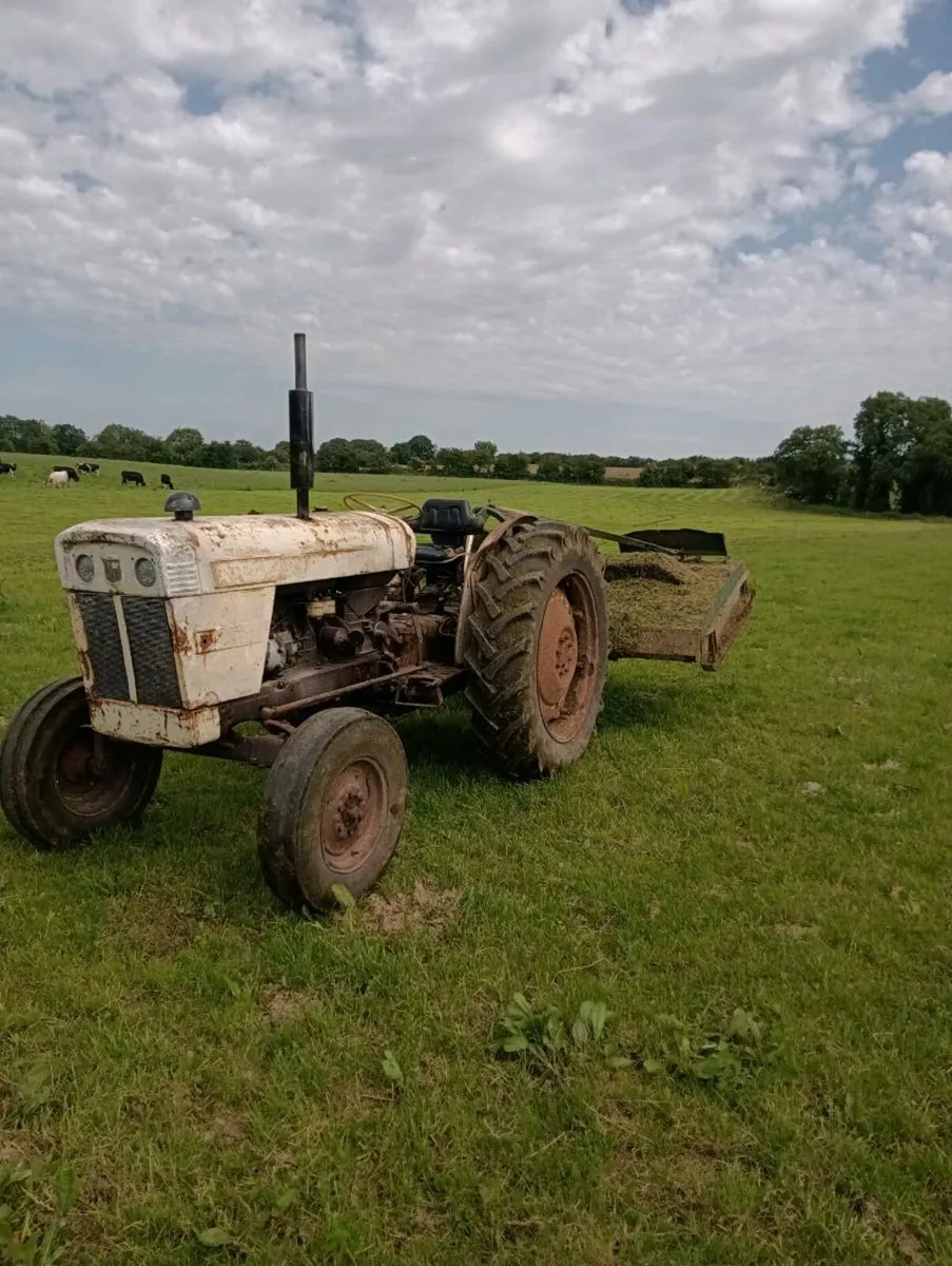 David brown 990 - Image 3