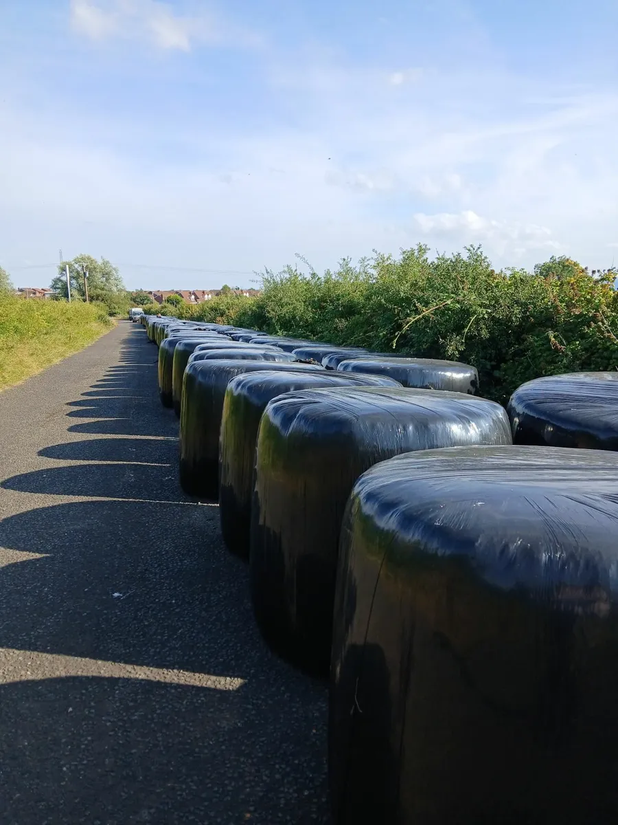 Haylage and Silage - Image 2