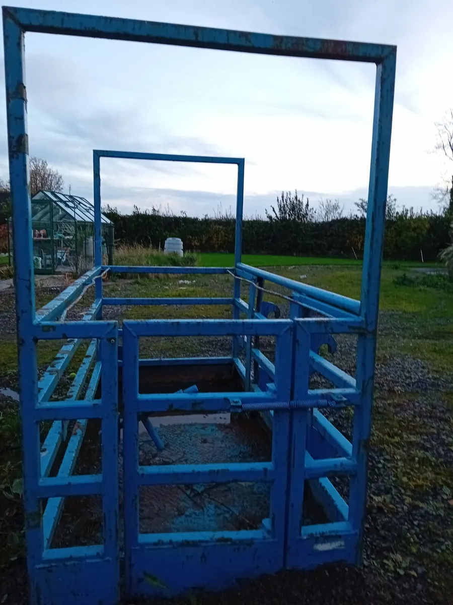 Man Basket - Image 1