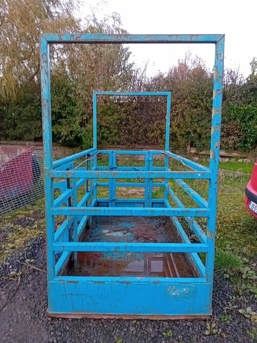 Man Basket - Image 2