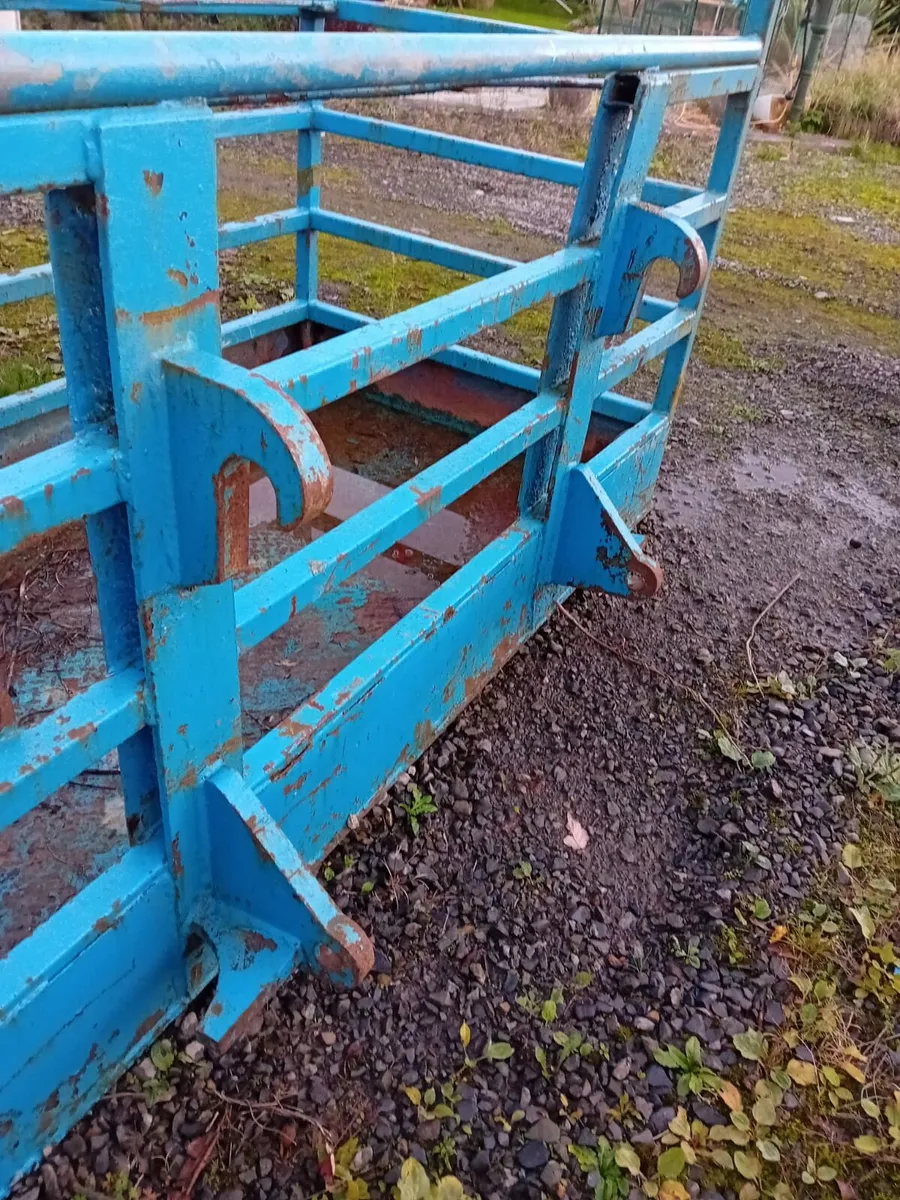 Man Basket - Image 3