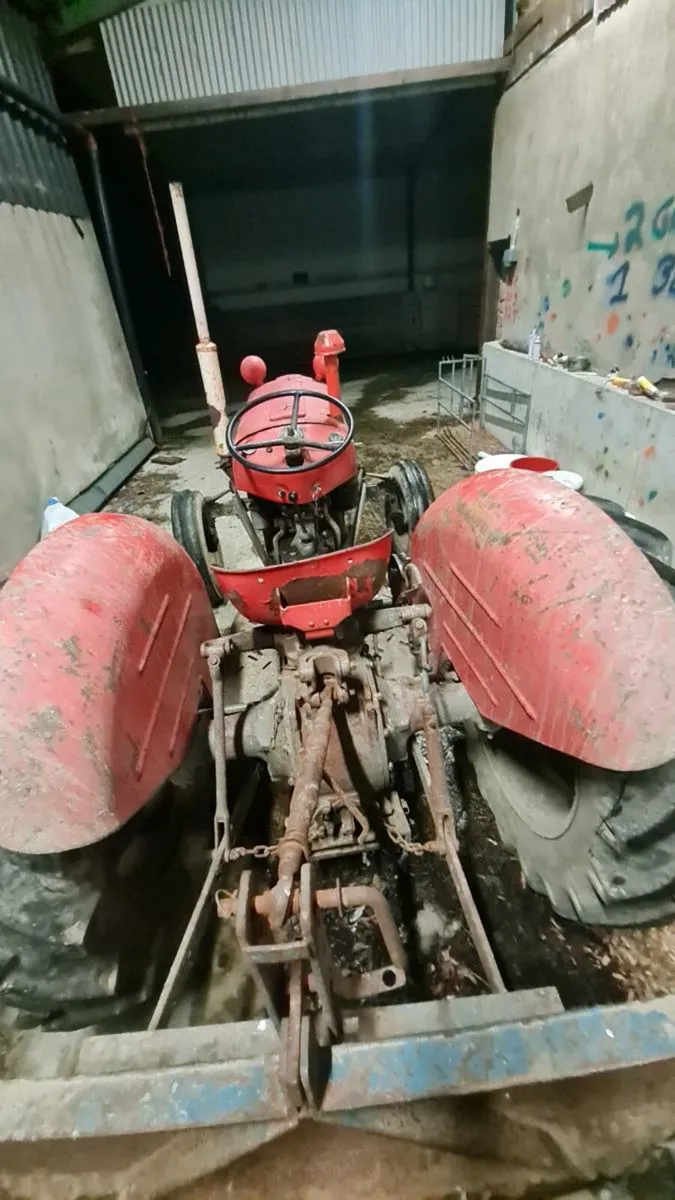 Massey ferguson 35x - Image 2