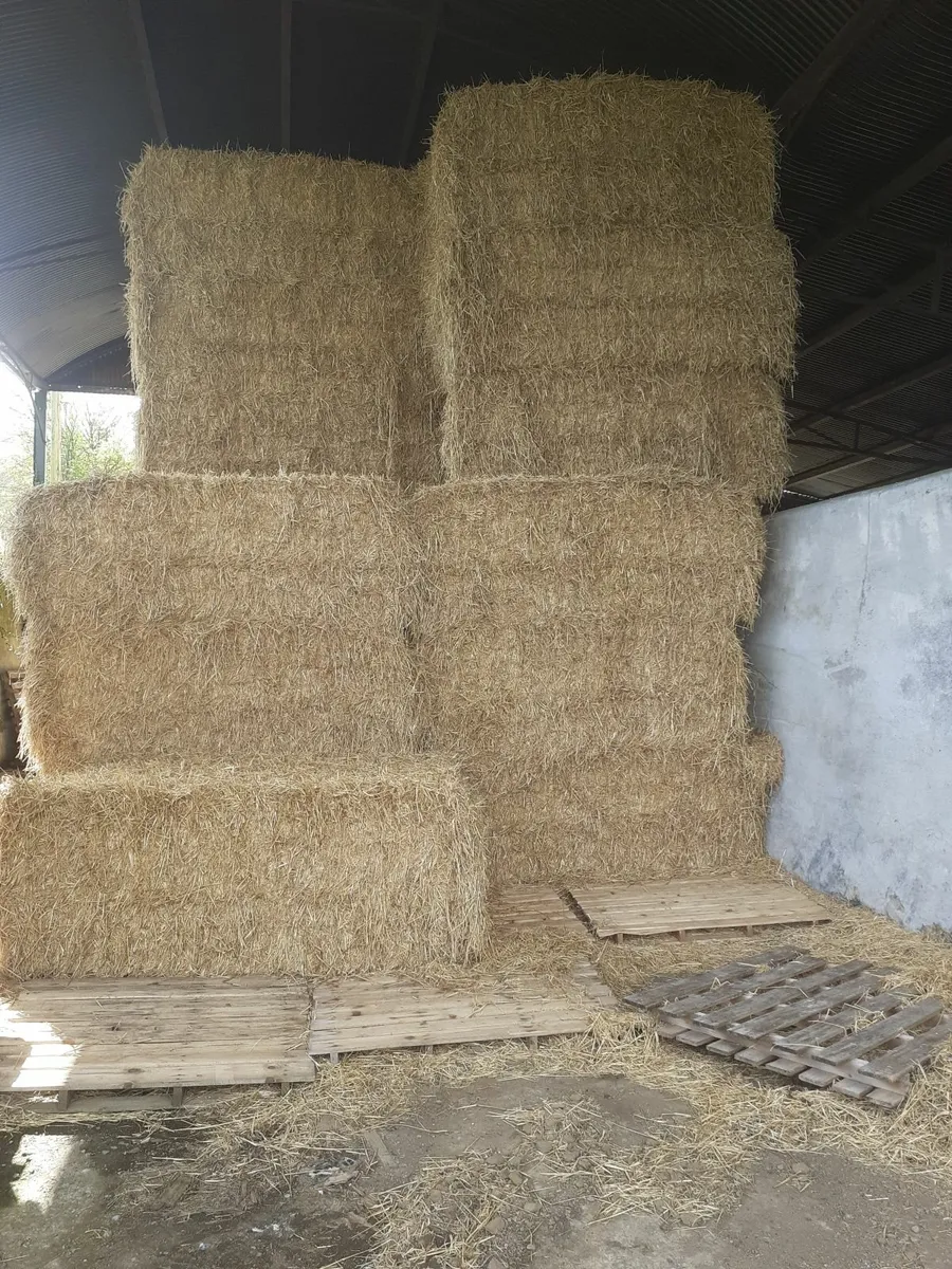 straw - Image 2